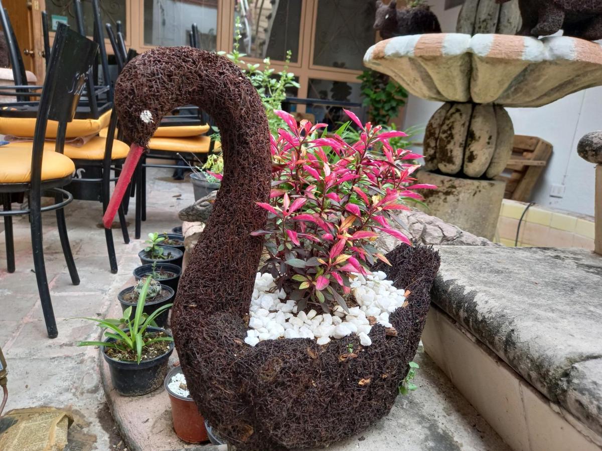 Hotel Kia Kat San Miguel de Allende Zewnętrze zdjęcie